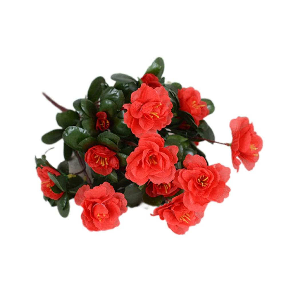 Rot